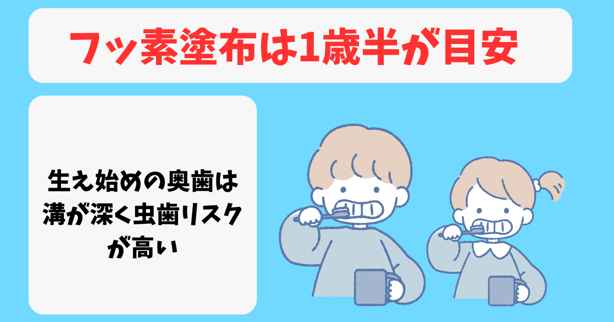 フッ素塗布は1歳半から